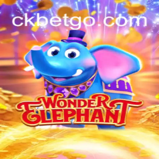 Tudo o que você precisa saber sobre o jogo WonderElephant